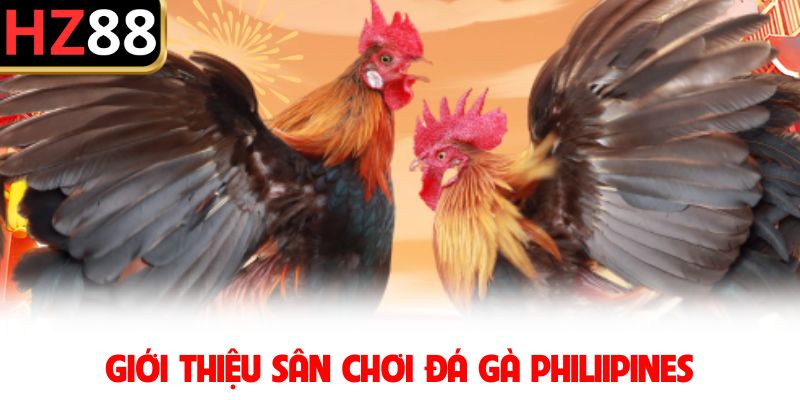 Giới thiệu sân chơi đá gà Philiipines